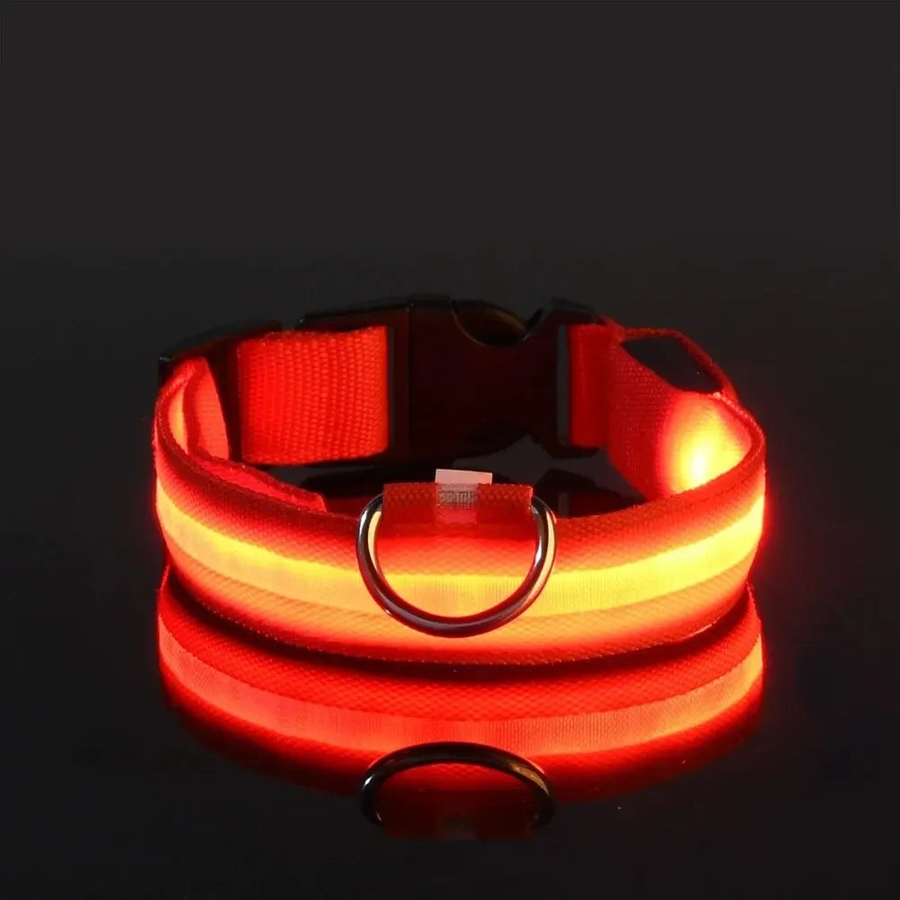 Leuchtendes LED Sicherheit-Hundehalsband