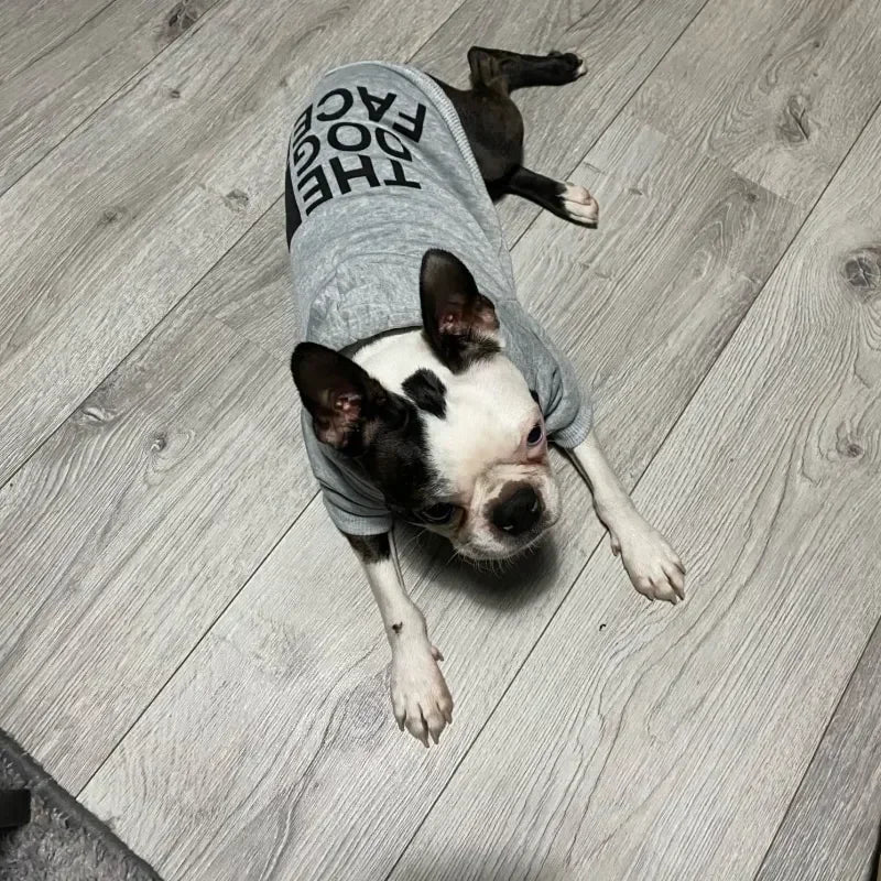 The Dog Face Windmantel